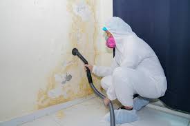 Best Asbestos and Lead Testing During Mold Inspection  in Selden, NY